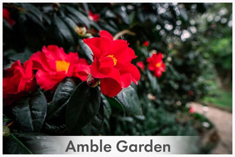Amble At Hahndorf Bed & Breakfast Luaran gambar