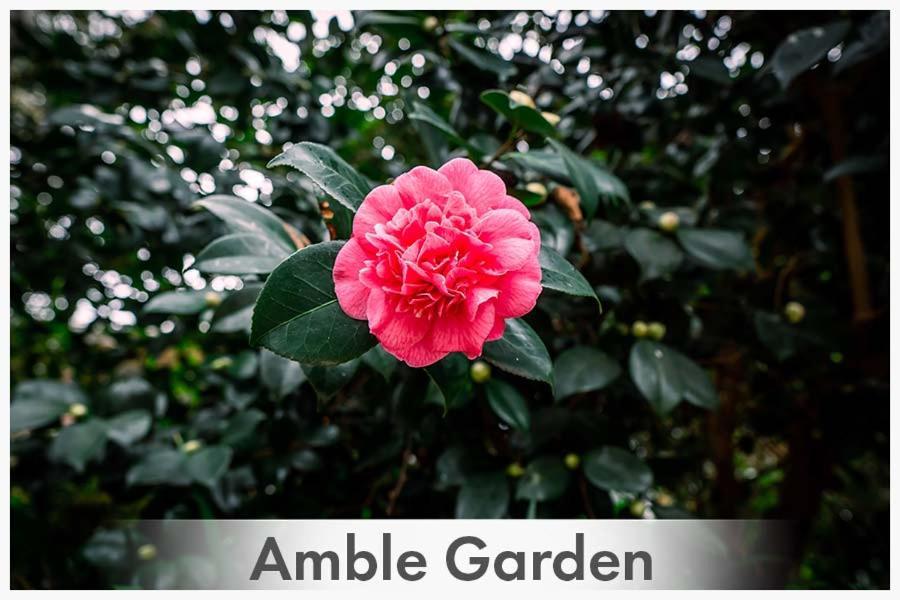 Amble At Hahndorf Bed & Breakfast Luaran gambar