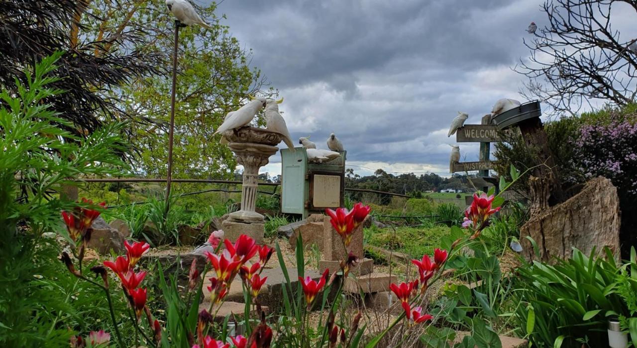 Amble At Hahndorf Bed & Breakfast Luaran gambar